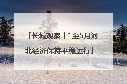 长城观察丨1至5月河北经济保持平稳运行