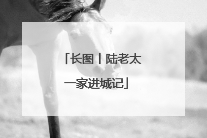 长图丨陆老太一家进城记
