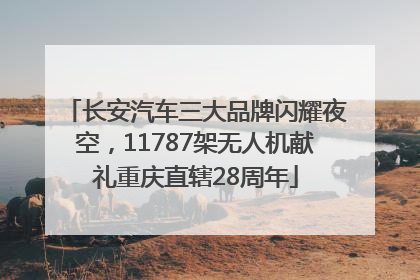长安汽车三大品牌闪耀夜空，11787架无人机献礼重庆直辖28周年