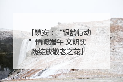 镇安：“银龄行动”情暖端午 文明实践绽放敬老之花