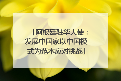 阿根廷驻华大使：发展中国家以中国模式为范本应对挑战