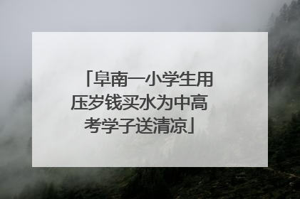 阜南一小学生用压岁钱买水为中高考学子送清凉