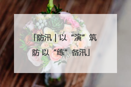防汛｜以“演”筑防 以“练”备汛