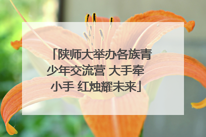 陕师大举办各族青少年交流营 大手牵小手 红烛耀未来