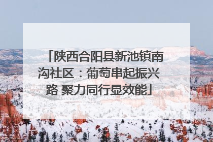 陕西合阳县新池镇南沟社区：葡萄串起振兴路 聚力同行显效能