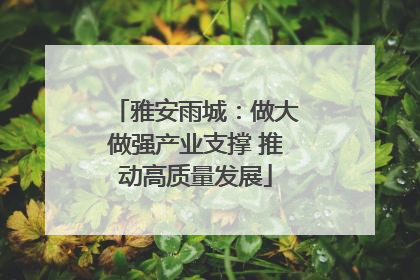 雅安雨城：做大做强产业支撑 推动高质量发展