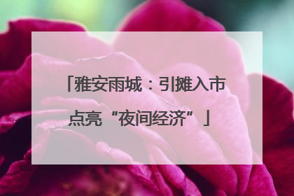 雅安雨城：引摊入市 点亮“夜间经济”