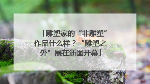 雕塑家的“非雕塑”作品什么样？“雕塑之外”展在浙图开幕