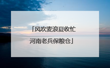 风吹麦浪夏收忙 河南老兵保粮仓