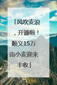 风吹麦浪，开镰啦！顺义15万亩小麦迎来丰收