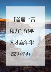 首届“青和力”留学人才嘉年华成功举办