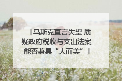 马斯克直言失望 质疑政府税收与支出法案能否兼具“大而美”