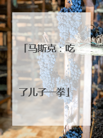 马斯克：吃了儿子一拳