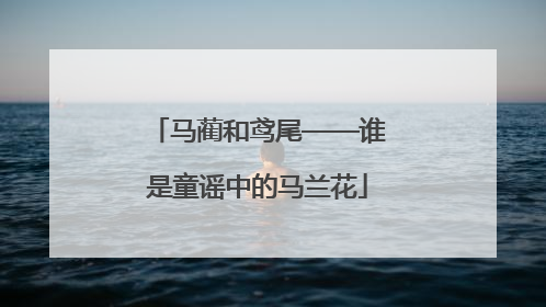 马蔺和鸢尾——谁是童谣中的马兰花
