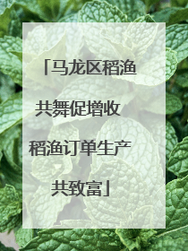 马龙区稻渔共舞促增收 稻渔订单生产共致富