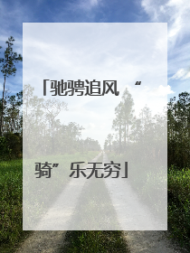 驰骋追风 “骑”乐无穷