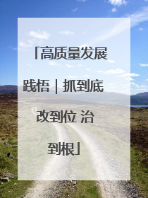 高质量发展践悟｜抓到底 改到位 治到根
