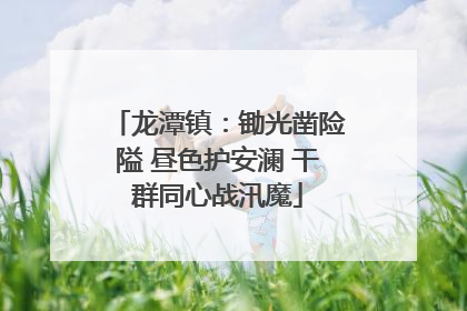 龙潭镇：锄光凿险隘 昼色护安澜 干群同心战汛魔