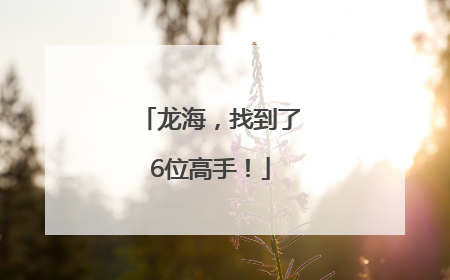 龙海，找到了6位高手！