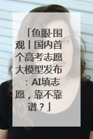 鱼眼·围观丨国内首个高考志愿大模型发布：AI填志愿，靠不靠谱？