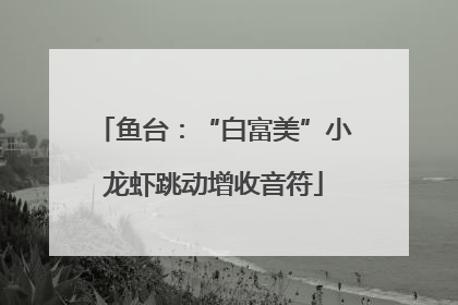 鱼台：“白富美”小龙虾跳动增收音符