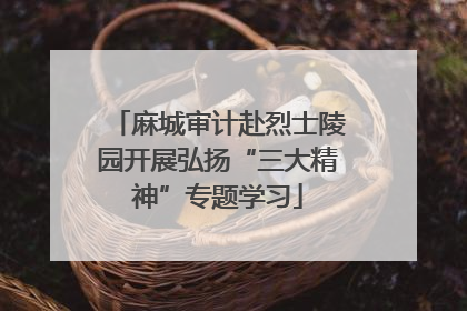 麻城审计赴烈士陵园开展弘扬“三大精神”专题学习