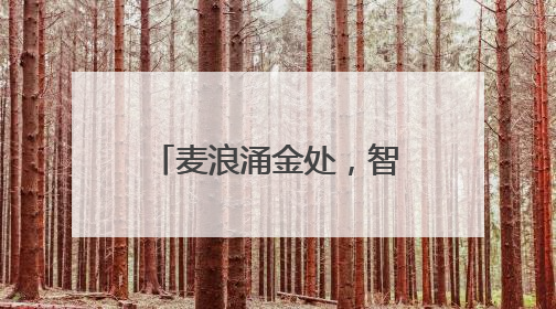 麦浪涌金处，智慧绘新篇！河南首家“小麦—玉米”周年生产无人农场喜迎丰收