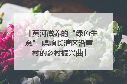 黄河滋养的“绿色生意” 唱响长清区沿黄村的乡村振兴曲