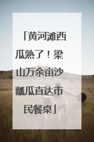 黄河滩西瓜熟了！梁山万余亩沙瓤瓜直达市民餐桌