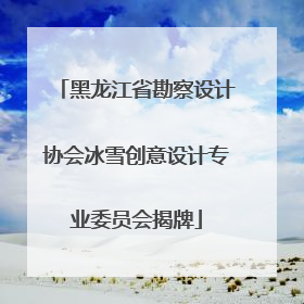 黑龙江省勘察设计协会冰雪创意设计专业委员会揭牌