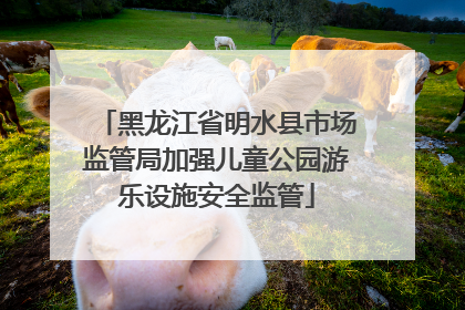 黑龙江省明水县市场监管局加强儿童公园游乐设施安全监管