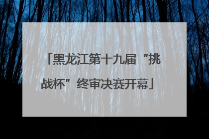 黑龙江第十九届“挑战杯”终审决赛开幕