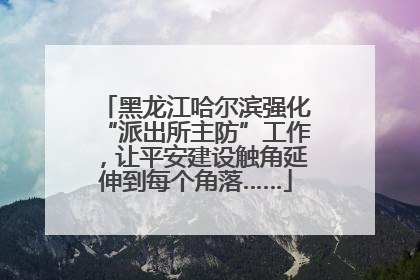 黑龙江哈尔滨强化“派出所主防”工作，让平安建设触角延伸到每个角落……