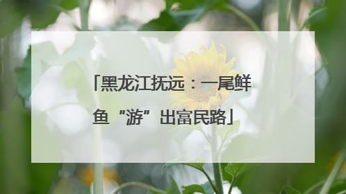 黑龙江抚远：一尾鲜鱼“游”出富民路