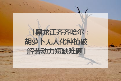 黑龙江齐齐哈尔：胡萝卜无人化种植破解劳动力短缺难题