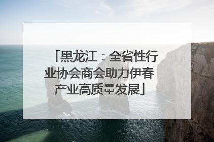 黑龙江：全省性行业协会商会助力伊春产业高质量发展