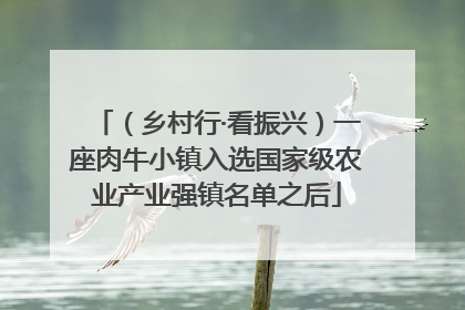 （乡村行·看振兴）一座肉牛小镇入选国家级农业产业强镇名单之后