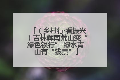 （乡村行·看振兴）吉林辉南荒山变“绿色银行” 绿水青山有“钱景”