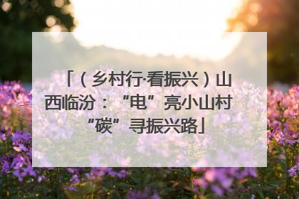 （乡村行·看振兴）山西临汾：“电”亮小山村 “碳”寻振兴路