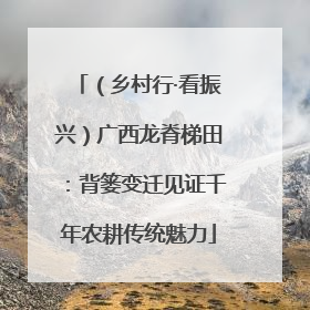 （乡村行·看振兴）广西龙脊梯田：背篓变迁见证千年农耕传统魅力