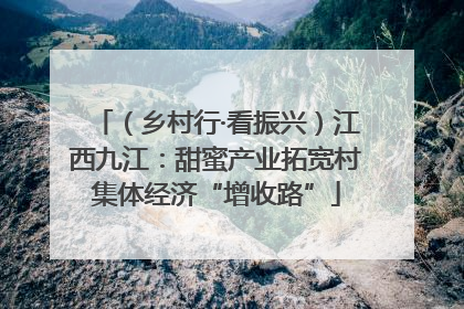 （乡村行·看振兴）江西九江：甜蜜产业拓宽村集体经济“增收路”