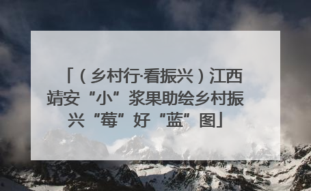 （乡村行·看振兴）江西靖安“小”浆果助绘乡村振兴“莓”好“蓝”图