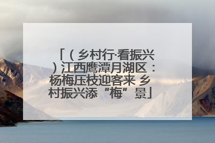 （乡村行·看振兴）江西鹰潭月湖区：杨梅压枝迎客来 乡村振兴添“梅”景