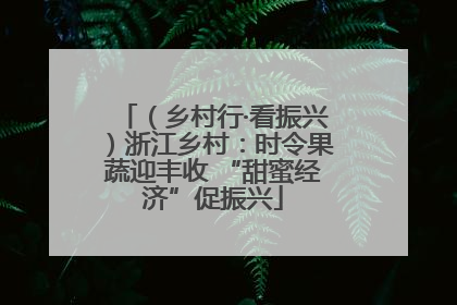（乡村行·看振兴）浙江乡村：时令果蔬迎丰收 “甜蜜经济”促振兴