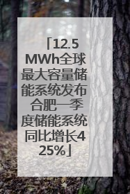 12.5MWh全球最大容量储能系统发布 合肥一季度储能系统同比增长425%