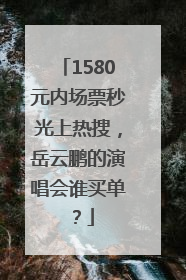 1580元内场票秒光上热搜，岳云鹏的演唱会谁买单？