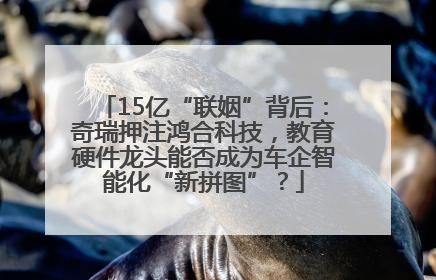 15亿“联姻”背后：奇瑞押注鸿合科技，教育硬件龙头能否成为车企智能化“新拼图”？