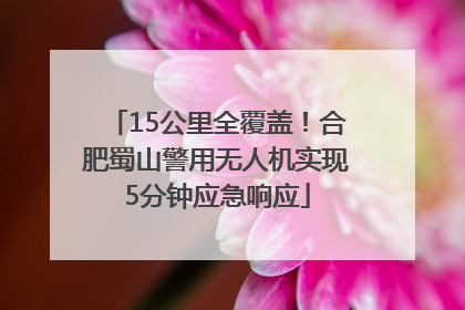 15公里全覆盖！合肥蜀山警用无人机实现5分钟应急响应