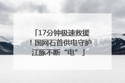 17分钟极速救援！国网石首供电守护江豚不断“电”