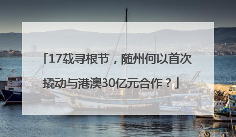 17载寻根节，随州何以首次撬动与港澳30亿元合作？
